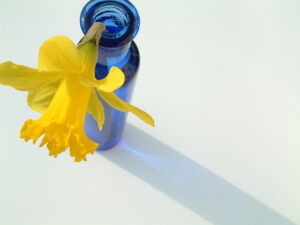 Spring_Flower_Clean
