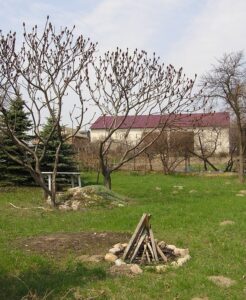 camp_Fire_Bonfire_fire_pit